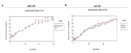 면역부전마우스를 이용한 세포외소포 반복투여에 따른 체중 변화 및 부검 시 체중