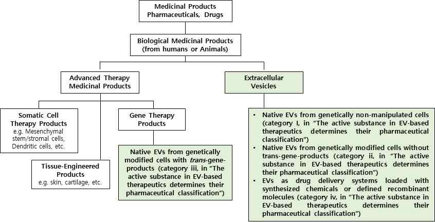 유럽, 호주, 일본, 미국의 의약품 범주 및 EV-based therapeutics의 예상 분류