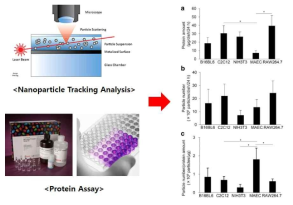 NTA와 Protein assay를 이용한 세포외소포의 농도 측정 (참고문헌: Charoenviriyakul C. et al., Eur. J. Pharm. Sci., 2017, 96:316-322)