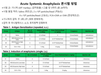 줄기세포 유래 세포외소포의 in vivo 면역원성 평가를 위한 Acute Systemic Anaphylaxis test 방법