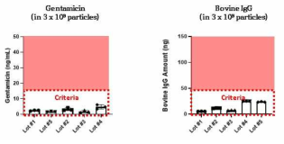 세포외소포 잔류물질 평가: Bovine IgG, gentamicin 정량 평가