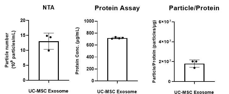 UC-MSC 세포외소포의 단백질양, 입자수 및 단백질양 대비 입자수 평가