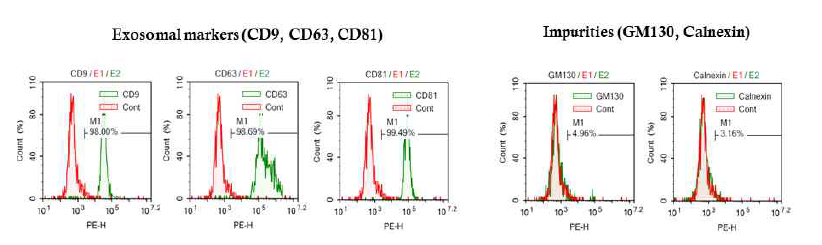 UC-MSC 세포외소포의 순도 평가