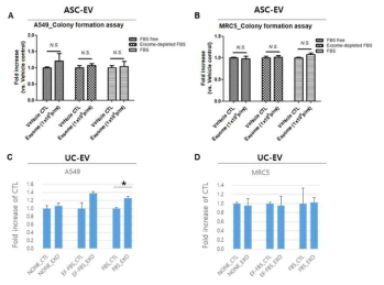 중간엽 유래 세포외소포(ASC- 및 UC-EV)에 의한 in vitro 종양진행능 시험 결과