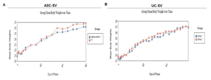 면역부전마우스를 이용한 세포외소포 반복투여에 따른 체중 변화 및 부검 시 체중