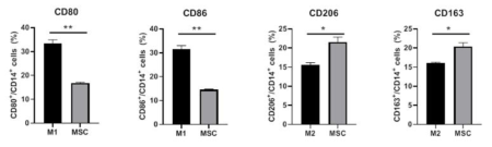 중간엽 줄기세포의 macrophage polarization 조절