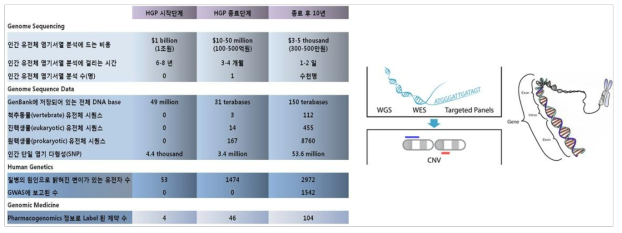 Human genome project 이후의 양적 성장 및 차세대염기서열분석법 종류