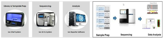 기본적인 NGS workflow