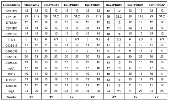 모세포인 Fibroblast와 제작된 episomal vector Line iPSC와 Sendai virus Line iPSC의 STR 분석 결과