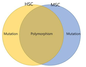 mtDNA variant type의 정의