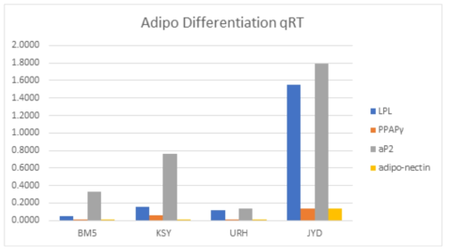 Adipogenesis marker 발현량 비교