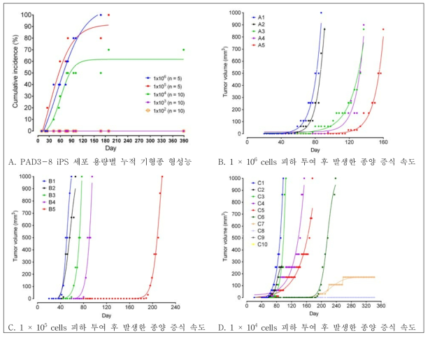 PAD3-8 iPS 세포의 용량별 NSG 마우스 피하 투여를 통한 기형종 형성 발생 능력 및 증식 속도 분석 결과. 기형종 발생 시기는 최초 25일째부터 발생하여 최장 189일째까지 발생하였음. 그러나 1,000개의 세포를 투여한 군에서는 1년 경과후에도 기형종이 발생하지 않았음. 세포수를 많이 투여 할수록 기형종 발생률이 높고, 더 빨리 자랐으며, 늦게 발생한 기형종의 일부는 더 이상 자라지 않았음