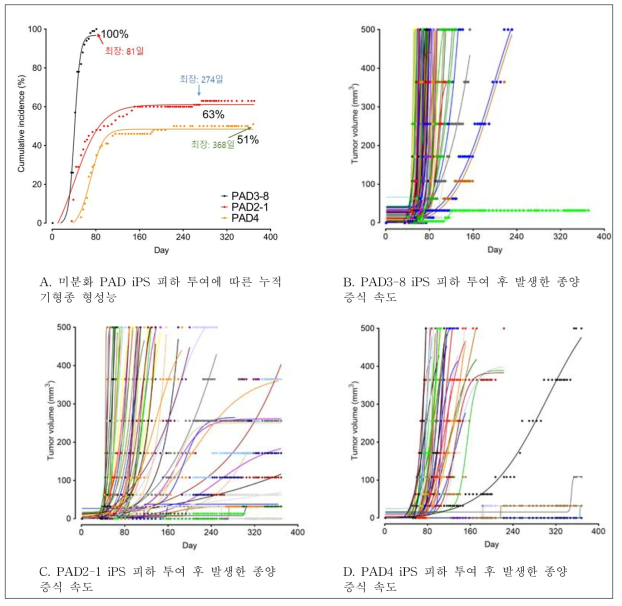 미분화 PAD iPS세포의 NSG 마우스 피하투여를 통한 기형종 형성 발생 능력 및 증식 속도 분석. 다른 배치의 iPS세포를 활용하여 3번 반복한 실험에서 최장 368일째까지 기형종이 형성되었으며, 발생한 기형종의 증식 속도는 늦게 발생할수록 느리게 자라는 경향이 있었음. 일부에서 더 이상 증식하지 않는 기형종도 있었음