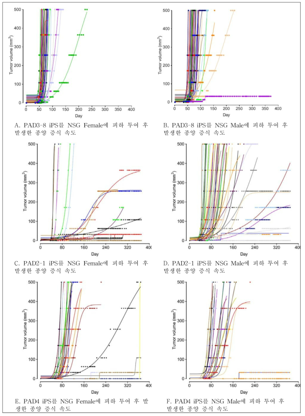 미분화 PAD iPS세포를 NSG 마우스 피하투여 후 성별에 따른 기형종 증식 속도 분석