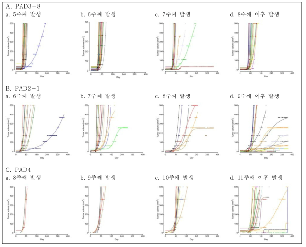 미분화 PAD iPS세포 피하투여 후 기형종 형성 시기에 따른 증식 속도 분석 결과