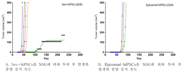 미분화 iPS세포를 NSG 마우스 피하투여 후 기형종 증식 속도 분석 결과