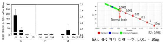 Human specific gene에 대한 primer를 이용한 qPCR 검출한계 측정