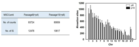 염색체별 삽입 빈도 분석