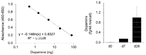 도파민 분비 측정을 위한 검량곡선(standard curve, 좌)과 실제 측정 결과(우)