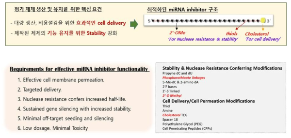 miRNA targeting시의 해결 과제 및 개선 방법