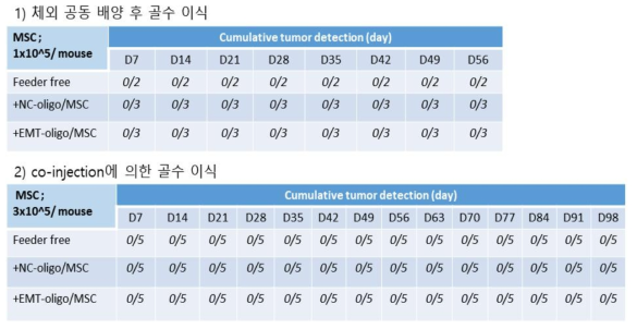 조혈모 이식 생착 모델에서의 생체 내 종양원성 평가