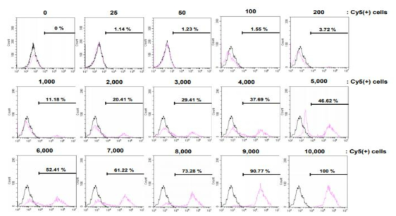 WI-38 세포주에서 유세포 분석기를 통한 microRNA scrambled Cy-5의 발현