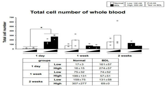 microRNA scrambled Cy-5 투여 후 주수별 혈액에서의 총 세포 수 비교