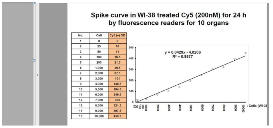 200nM의 microRNA scrambled Cy-5를 24시간 동안 처리한 WI-38 세포주에서의 형광 측정기를 이용한 spike curve 제작