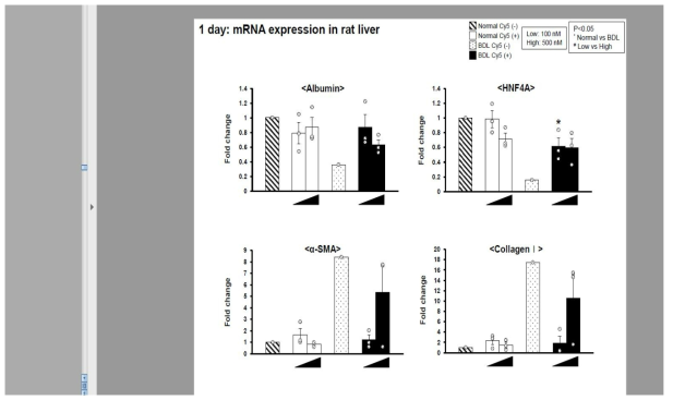 정상 및 BDL 그룹 랫에서의 microRNA scrambled Cy-5 이식 1일 후, 간 기능 관련 mRNA 인자 분석