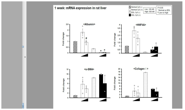 정상 및 BDL 그룹 랫에서의 microRNA scrambled Cy-5 이식 1주 후, 간 기능 관련 mRNA 인자 분석