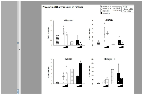 정상 및 BDL 그룹 랫에서의 microRNA scrambled Cy-5 이식 2주 후, 간 기능 관련 mRNA 인자 분석