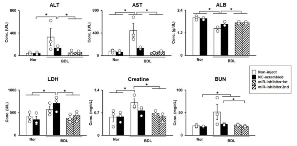 target microRNA 이식 후 만성 간경변증 동물 혈액에서의 간 및 신장 독성 분석