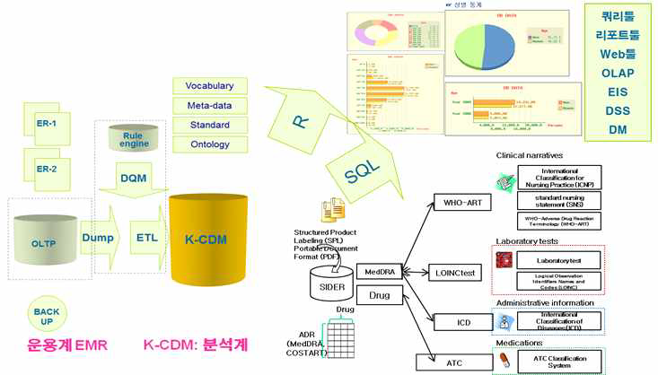 EMR 데이터로부터 K-CDM 변환 및 분석과정