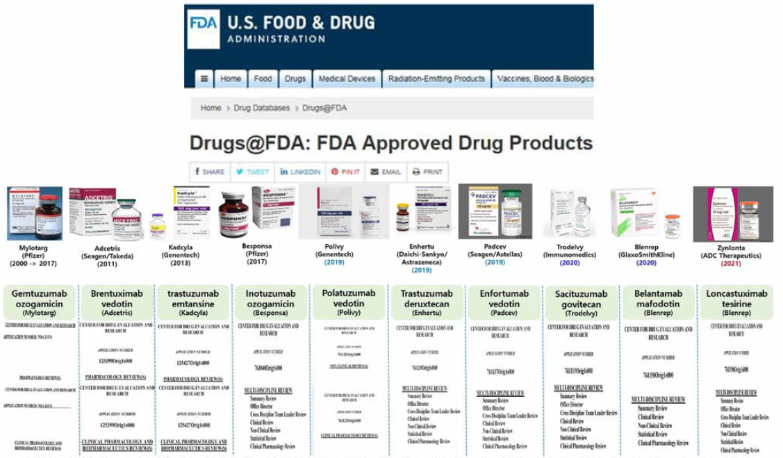 FDA 승인받은 10종의 ADC의 비임상 및 임상 약리학 관련 BLA 검토 서류 항목(출처 : https-//www.accessdata.fda.gov/scripts/cder/daf/index.cfm)