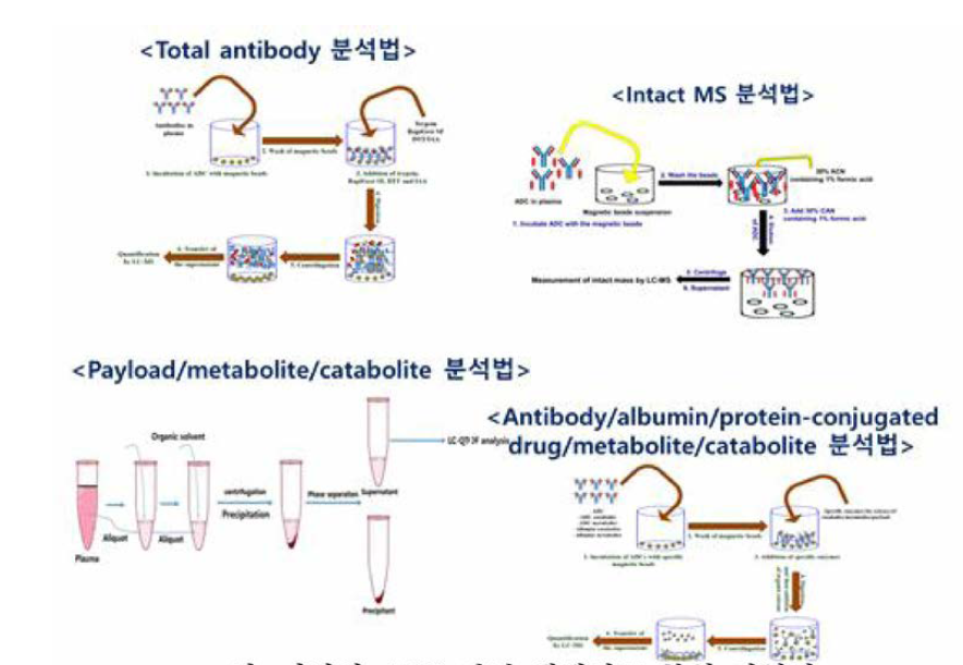 다양한 ADC 관련 생체시료 분석 시험법