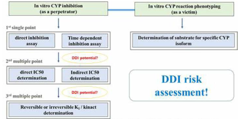시험관 내 DDI 연구를 위한 실험 설계 및 흐름도