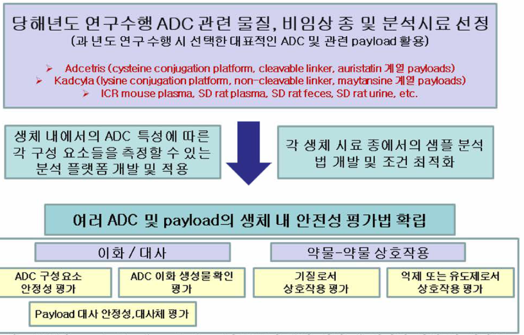 ADC의 catabolism/metabolism 및 DDI에 관한 생체 내 평가법 확립 및 평가를 위한 모식도