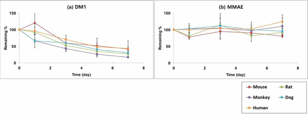 DM1 과 MMAE에 대한 다양한 종의 혈장에서의 안정성 평가 결과