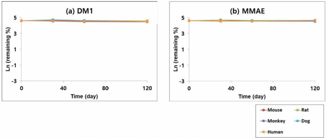 DM1과 MMAE에 대한 다양한 종의 간 S9 분획 (pH 5.0) 에서의 대사 안정성 평가 결과