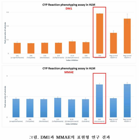 DM1 과 MMAE의 표현형 연구 결과