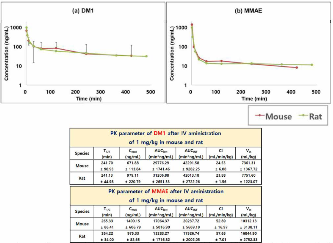 DM1과 MMAE의 마우스 및 랫드에서의 약물 동태평가 평가 (정맥 내 투여, 1㎎/㎏)
