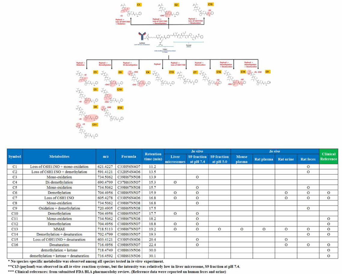 vedotin의 비임상 종에서의 이화생성물 확인 평가를 통한 catabolite profiling 및 시험관 내 및 생체 내，그리고 BLA 검토 서류에서 제시되어있는 이화생성물 요약