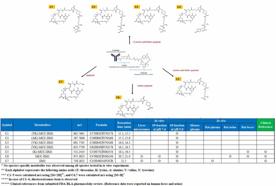 emtansine의 비임상 종에서의 이화생성물 확인 평가를 통한 catabolite profiling 및 시험관 내 및 생체 내，그리고 BLA 검토 서류에서 제시되어있는 이화생성물 요약