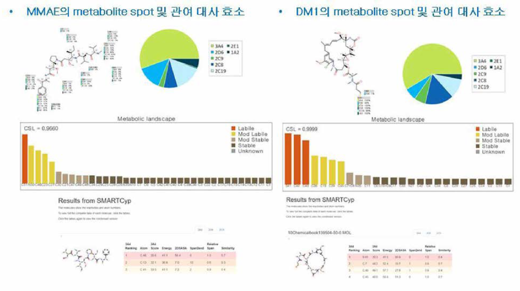 Stardrop™ P450 모듈을 이용한 MMAE와 DM1 의 대사 위치 선택성，대사 취약성 예측 결과