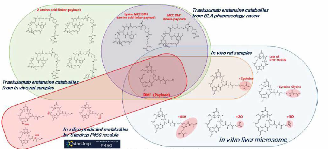 Stardrop™ P450 모듈을 이용한 DM 1 의 대사체 구조 예즉 및 trastuzumab emtansine과 DM1 을 이용한 다양한 시험관 및 비임상 종에서의 생체 내 대사체 확인 평가，BLA에서의 임상 이화생성물과의 비교