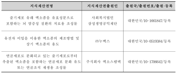 국내 대표적 지식재산권 현황