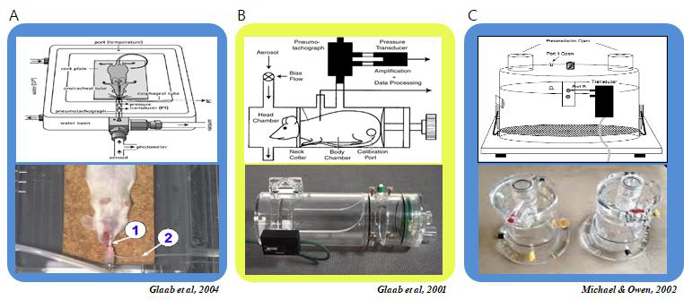 설치류의 호흡측정 방법