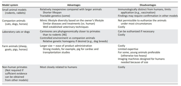 비임상시험에 주로 사용되는 동물모델 (출처: Reiner et al., 2017)