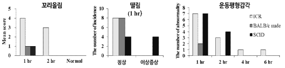 MK-801 투여에 따른 꼬리올림, 떨림 및 운동평형감각의 변화