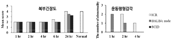 Chlorpromazine 투여에 따른 복부긴장도 및 운동평형감각의 변화